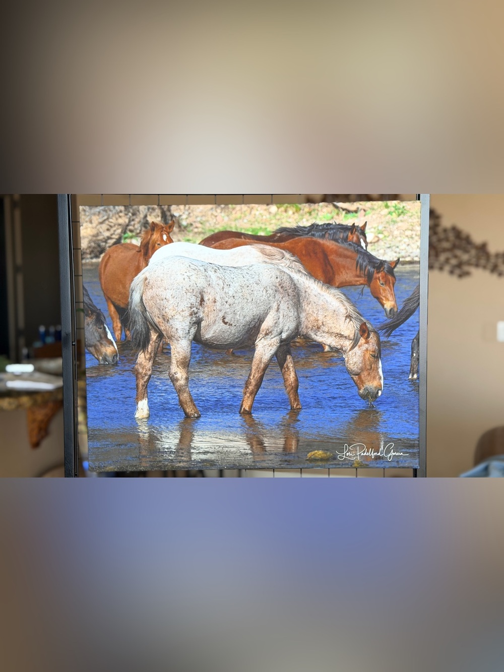 SALT RIVER WILD MUSTANGS CANVAS 16x20 ARIZONA WILDLIFE WALL ART FINE ART PHOTOG